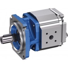 Internal gear pumps PGF