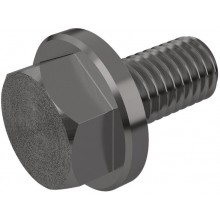 Plug screw for cover