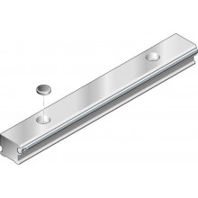 Plastic mounting hole plugs for Cam Roller Guides R1605  .0
