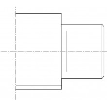 Form 21